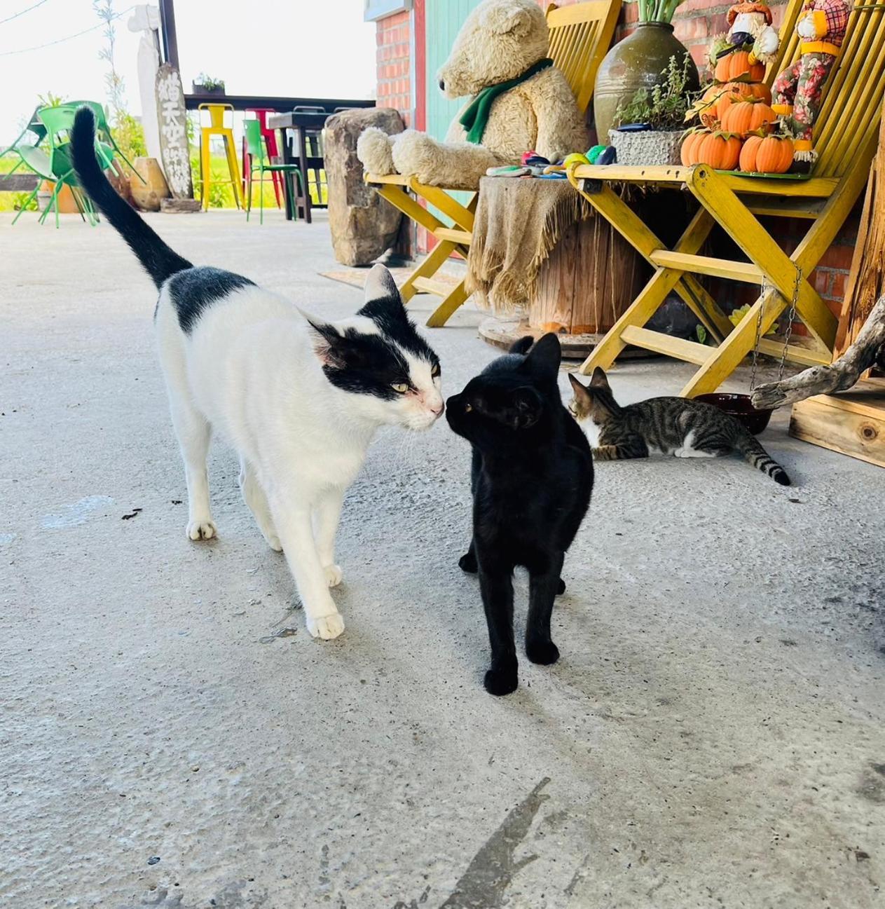 Cat Sky Country Homestay ซานซิง ภายนอก รูปภาพ