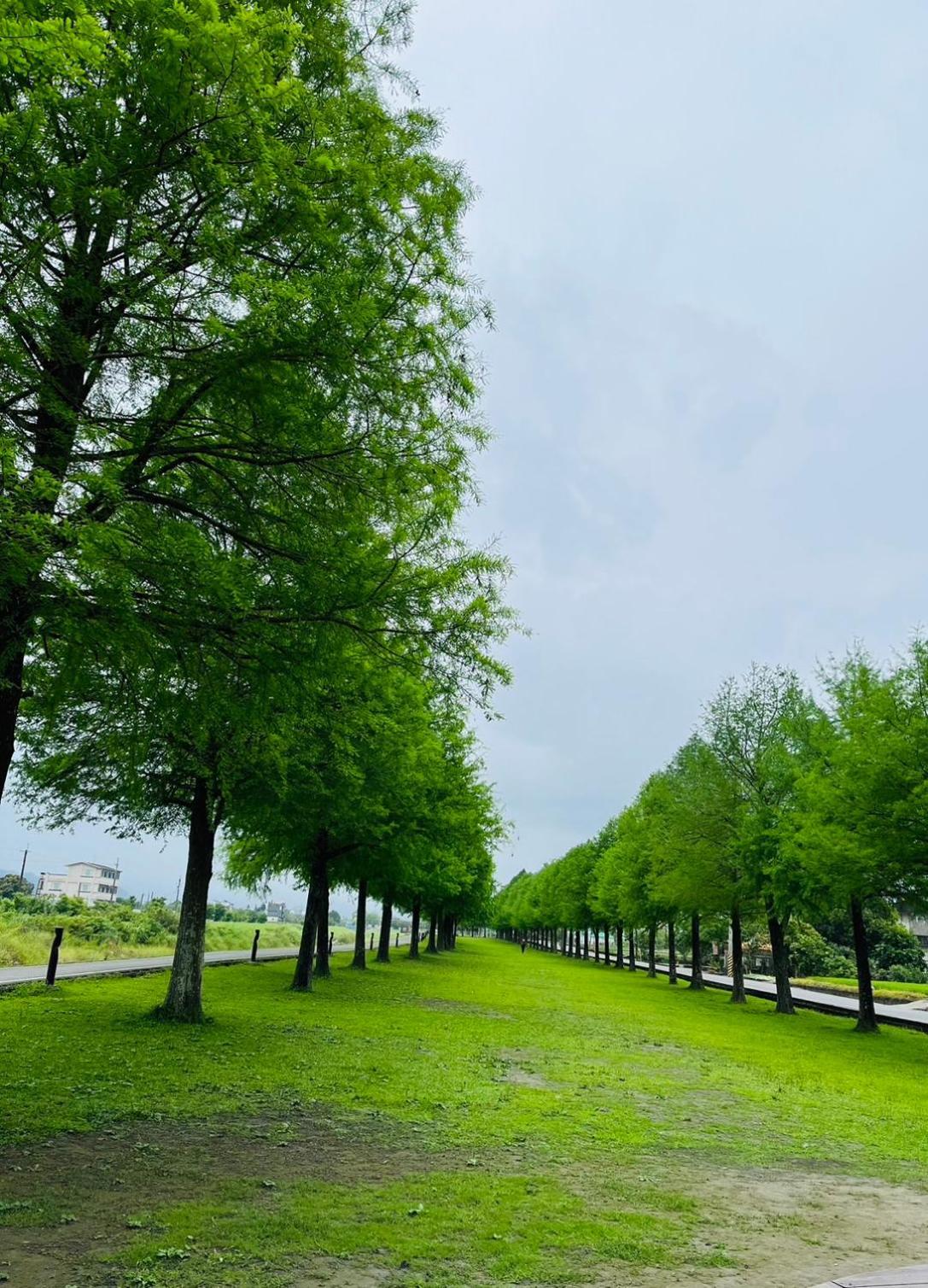 Cat Sky Country Homestay ซานซิง ภายนอก รูปภาพ