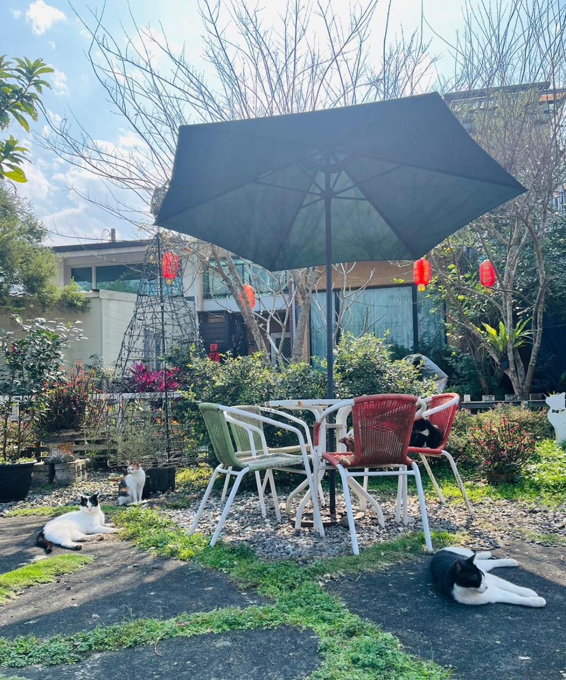 Cat Sky Country Homestay ซานซิง ภายนอก รูปภาพ
