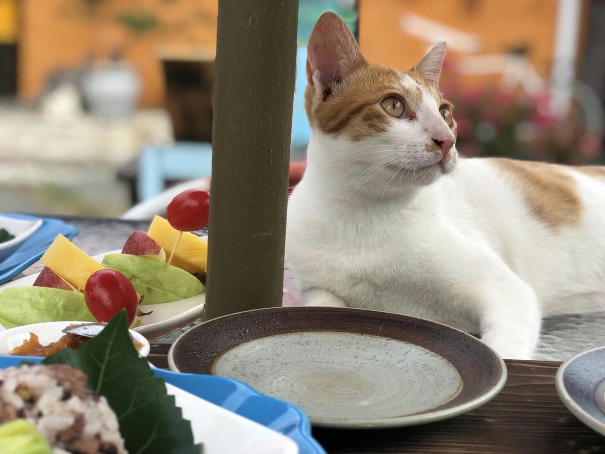 Cat Sky Country Homestay ซานซิง ภายนอก รูปภาพ