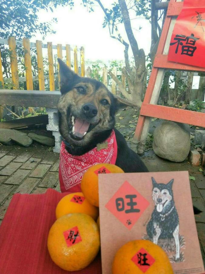 Cat Sky Country Homestay ซานซิง ภายนอก รูปภาพ